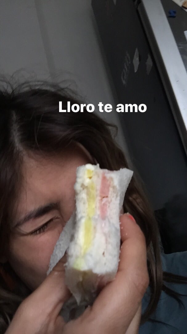 photo of Disidente Pastelería Vegana Sándwich De Miga shared by @shiscake on  31 Jan 2020 - review