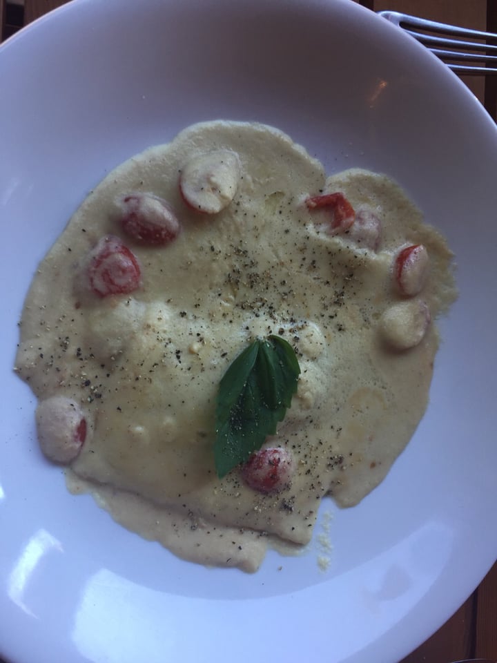 review photo of Eve Olive Ravioli with cheese sauce shared by @leafnotbeef on 08 Aug 2018 - review