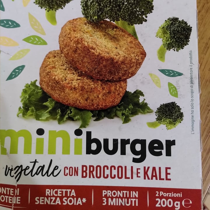 Kioene Mini Burger Broccoli & Kale Review abillion