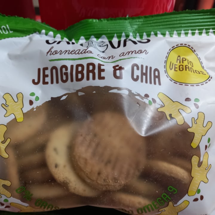 photo of Canvas Galletitas de Jengibre & Chia shared by @yanivegan04 on  17 Nov 2020 - review