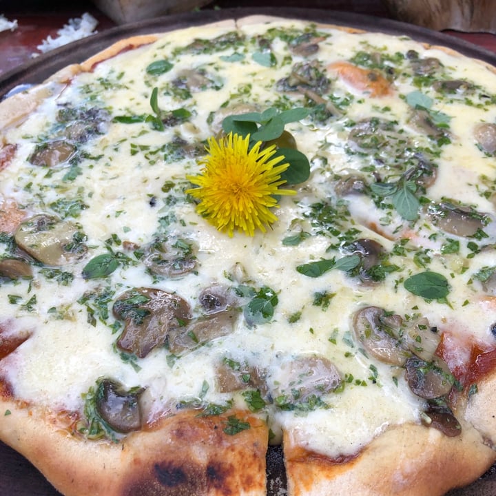 review photo of Al Otro Lado De La Huerta De Juli Pizza Champiñones shared by @ireneines1 on 11 May 2021 - review