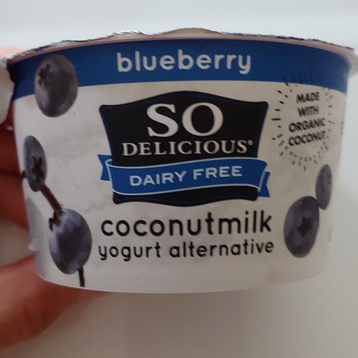 photo of So Delicious Dairy Free Blueberry Coconut Milk Yogurt Alternative shared by @laurenonearth on  25 Aug 2021 - review
