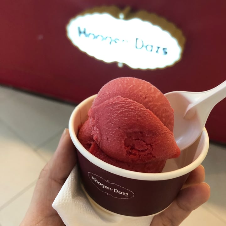 photo of Häagen-Dazs Raspberry Sorbet shared by @snowman on  22 May 2022 - review