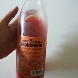Scaldasole
