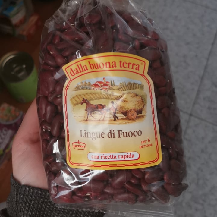 review photo of Dalla buona terra Lingue di fuoco shared by @iacoporamus on 11 Dec 2021 - review