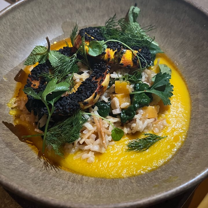 review photo of Nura Delicata squash shared by @htrfung on 09 Apr 2022 - review