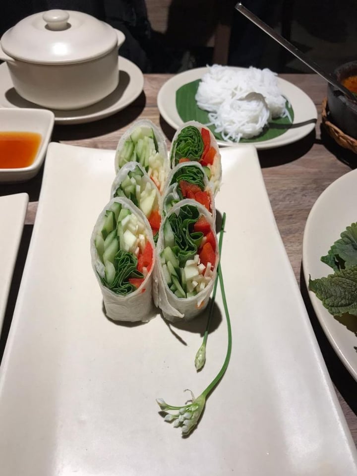 photo of Hum Vegetarian, Lounge & Restaurant Summer roll shared by @aparnasa on  22 Dec 2019 - review