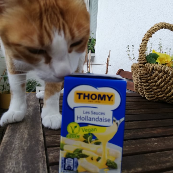 photo of Thomy Sauce Hollandaise shared by @mareikeks on  20 Jun 2021 - review