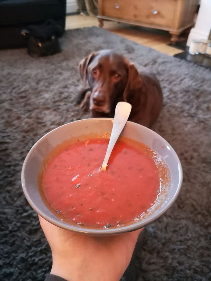 photo of Covent garden soup Co. Tomato And Basil Soup shared by @twowheeledvegan on  16 Feb 2020 - review