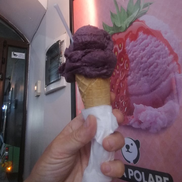 photo of Luca Polare mulberry sorbet shared by @simpaties on  21 Jun 2022 - review
