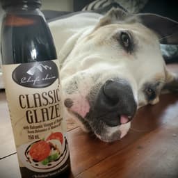 Chef's choice