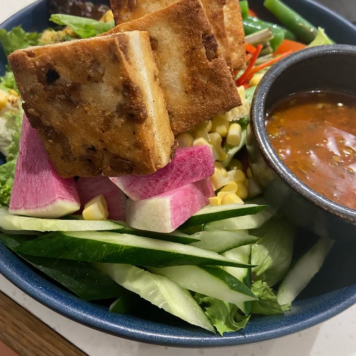 photo of Little Farms - Island-wide Delivery Tempeh Tofu Salad shared by @vegan-everafter on  06 Jan 2022 - review