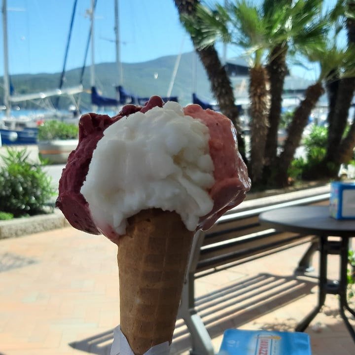 review photo of Gelateria CALAMINTHA Gelato senza latte shared by @cate88 on 28 May 2021 - review