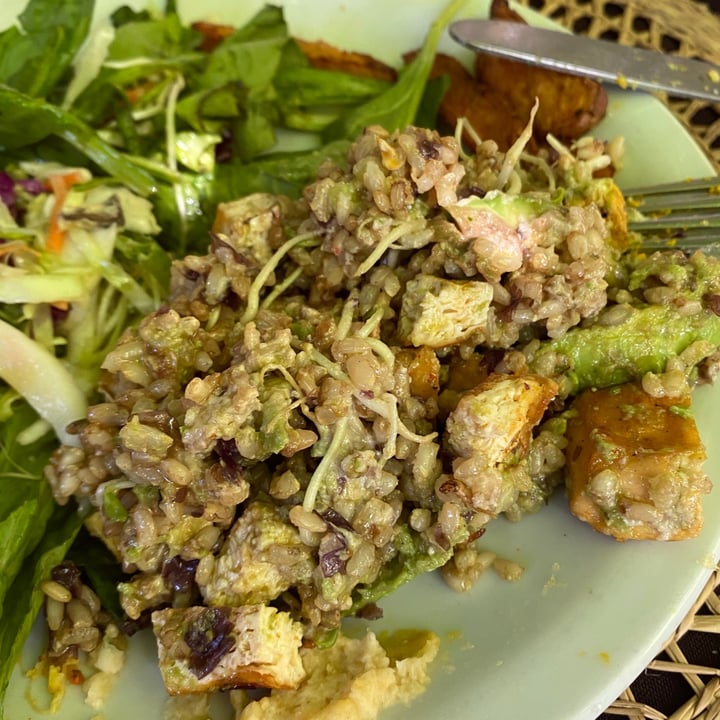 photo of Mattinata Vegan Sushi Salad shared by @1wandadeluca on  12 Jan 2022 - review