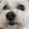 veggielover33 @veggielover33 profile image