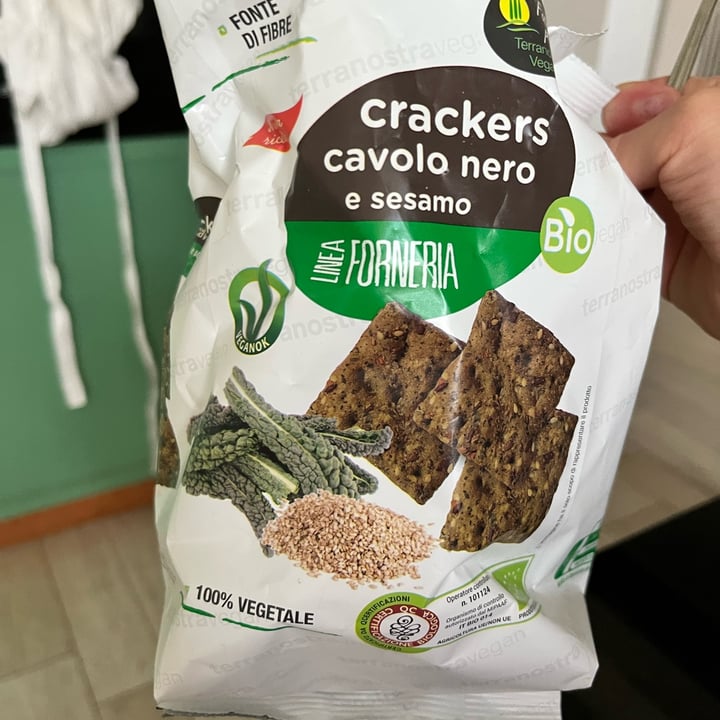 photo of Terranostra Vegan crackers cavolo nero shared by @sissi15 on  06 Jul 2022 - review