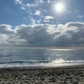 -tilde- @-tilde- profile image