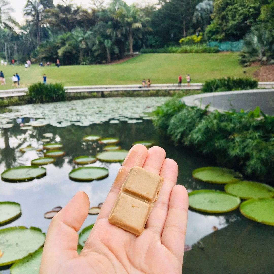 The Source Bulk Foods Singapore Organic Cashew Caramel Chocolate the-source-bulk-foods-singapore-organic-cashew-caramel-chocolate