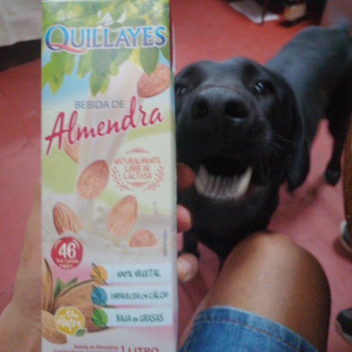 photo of Quillayes Bebida De Almendras shared by @emmabike on  01 Mar 2021 - review