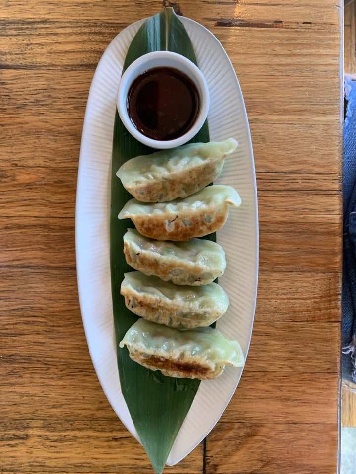 photo of Sister of Soul Green Gyoza Dumplings shared by @stephjayne on  20 Mar 2020 - review
