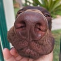 frapeggy @frapeggy profile image