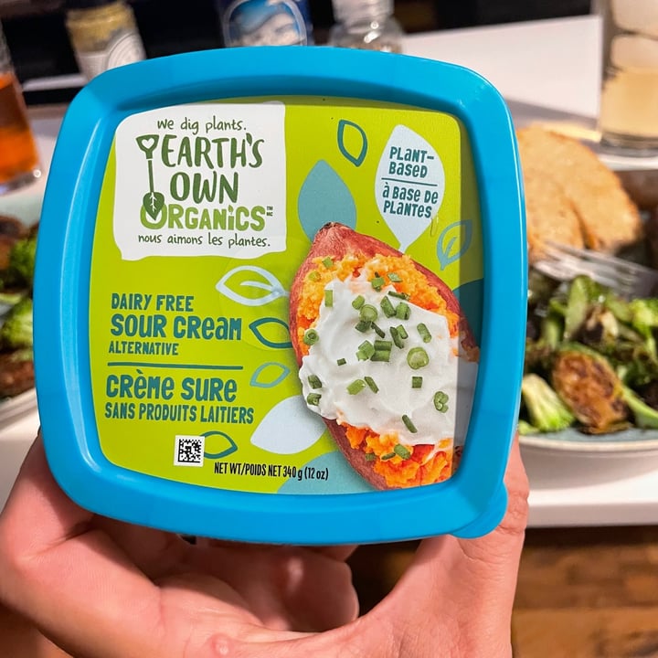 Earth's Own dairy free sour cream alternative Review abillion