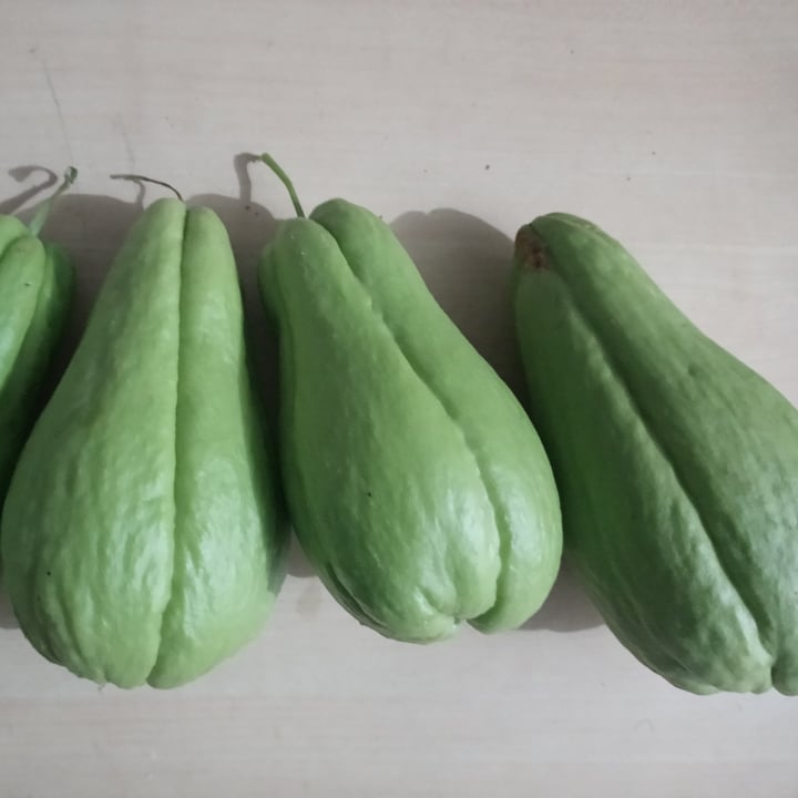 photo of chuchu Chuchu Legume shared by @thetheus on  31 May 2022 - review