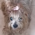 animiguens @animiguens profile image