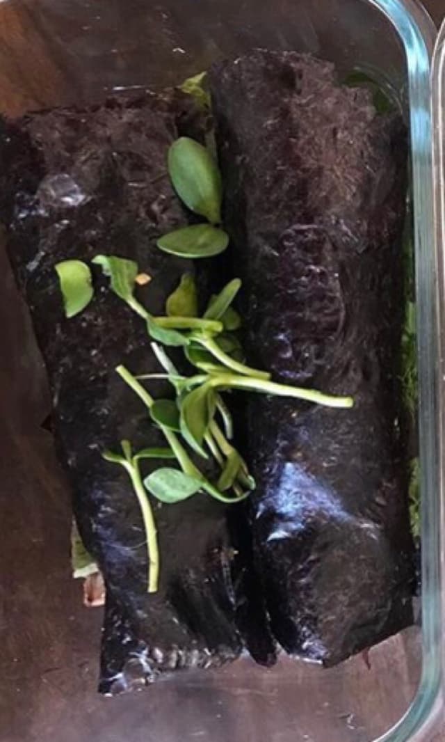 「Raw Nori Wraps」の料理の写真
