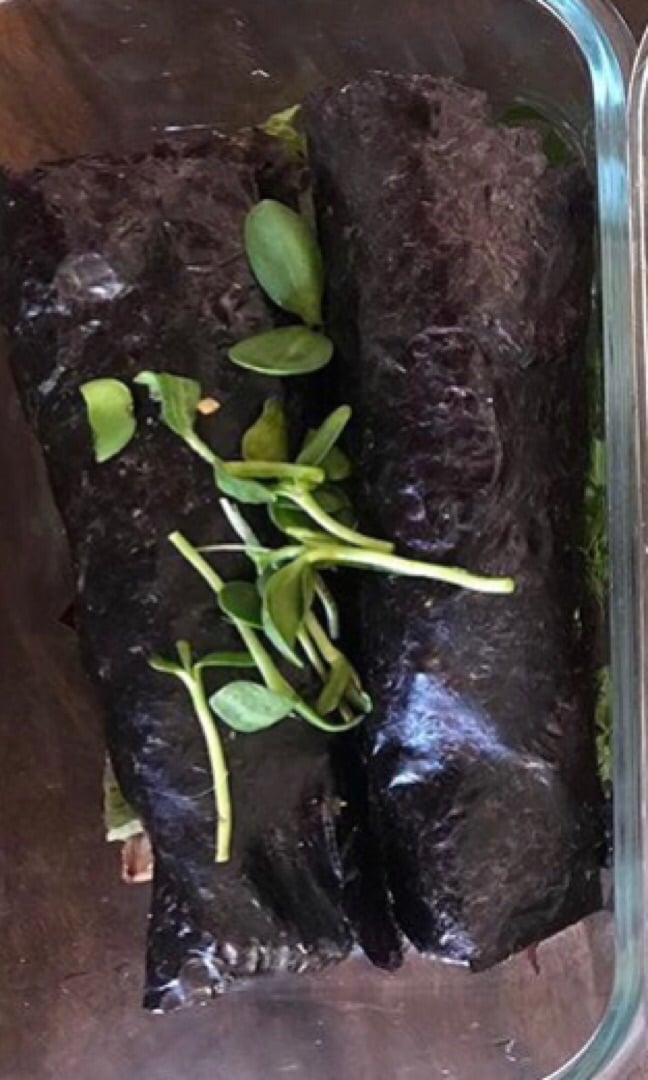 photo of The Village De'Vine Raw Nori Wraps shared by @melvdm on  25 Sep 2019 - review
