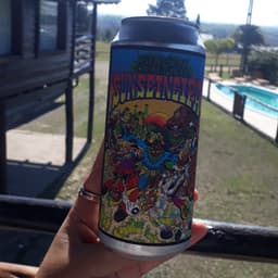 Geirsen craft beer
