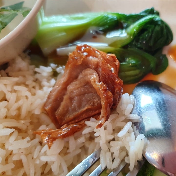 photo of Leaf Corner (Vegetarian) Fragrant Roasted Chicken with Rice shared by @ybgfry on  14 Oct 2020 - review