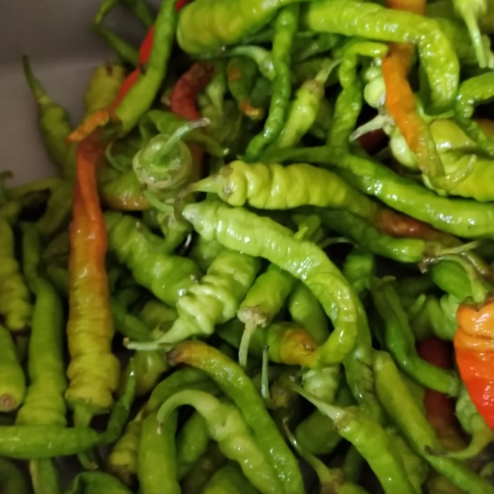review photo of ortofrutta Zorzato frutta e verdura shared by @fradasacco on 18 Jun 2022 - review