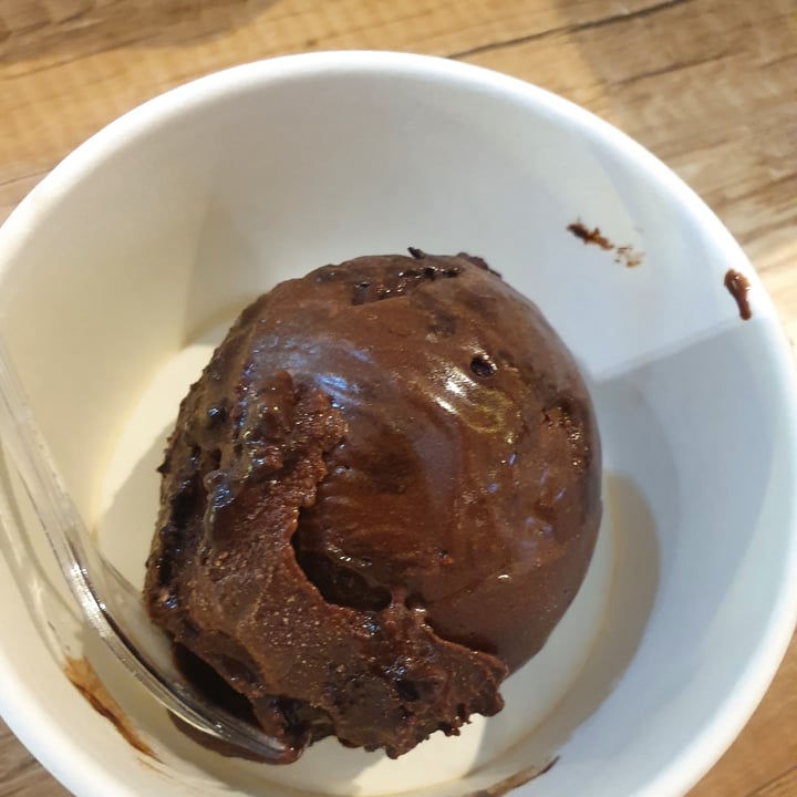 photo of Saute-San Golden Dark Chocolate Sorbet shared by @mushroomtarian on  05 Sep 2020 - review