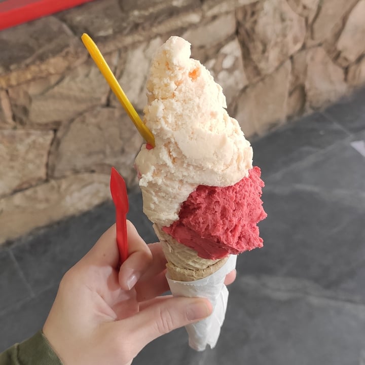 photo of HELADERIA SAN MARTIN Helado vegano shared by @argentinaveggie on  05 Aug 2021 - review