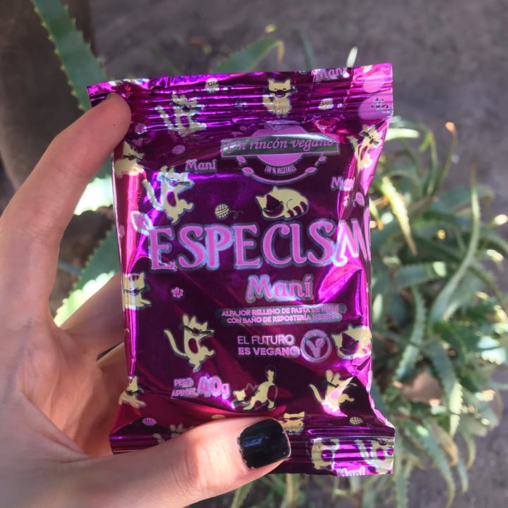 photo of Un Rincón Vegano Especismo Alfajor Relleno de Pasta de Maní con Baño de Repostería Negro shared by @russomai on  03 May 2021 - review