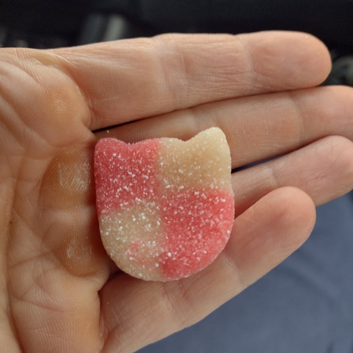 photo of Candy kittens Candy Kittens Tropical Mango shared by @dratini on  23 Dec 2022 - review