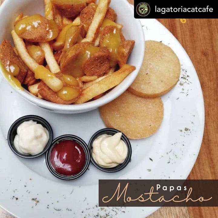 review photo of La Gatoria Cat Cafe “Papas Mostacho” shared by @carlis8a on 27 Jun 2019 - review