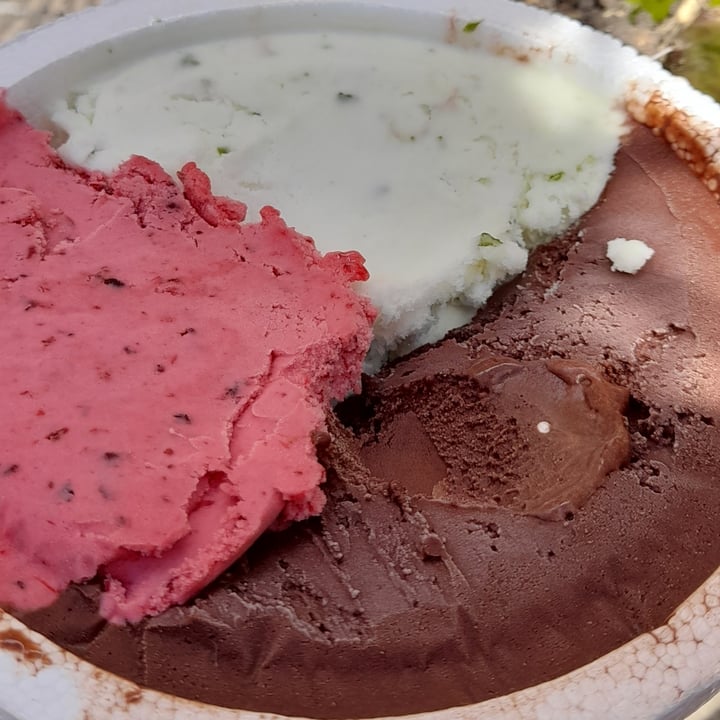 photo of Luciano's Heladeria Helado De Chocolate Vegano shared by @paauvegan on  11 Oct 2021 - review