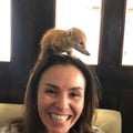 apaulapimentel @apaulapimentel profile image