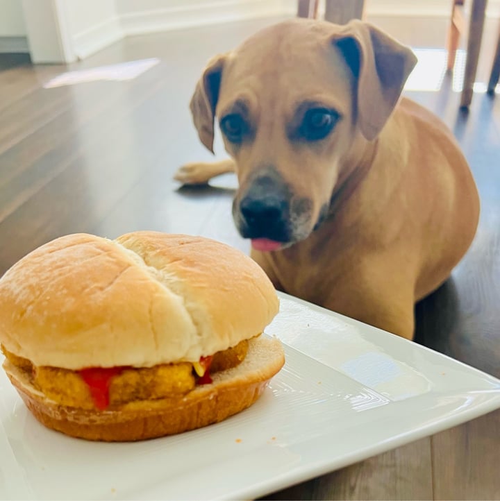 photo of Impossible Foods Chicken Nuggets shared by @tinesforchange on  29 Oct 2021 - review