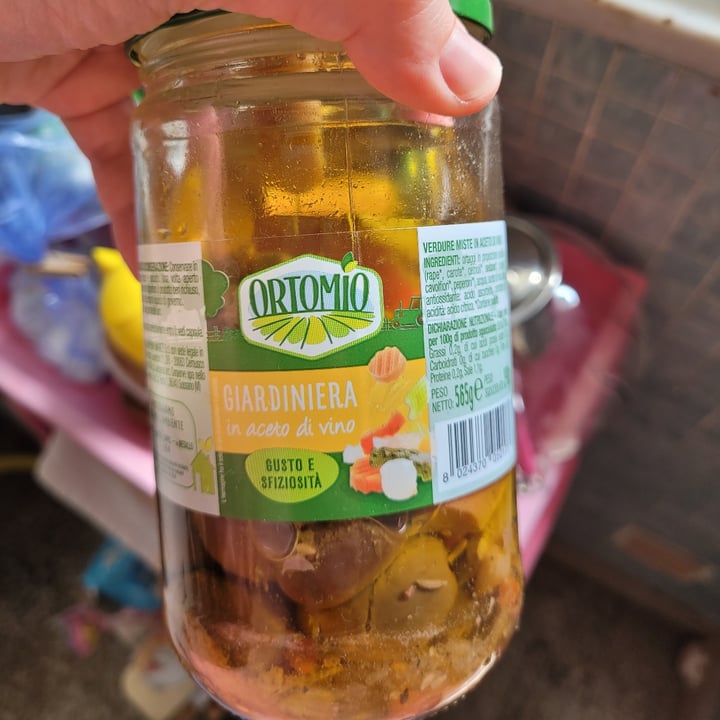 photo of Orto mio Giardiniera in aceto di vino shared by @stefygra96 on  31 Mar 2022 - review