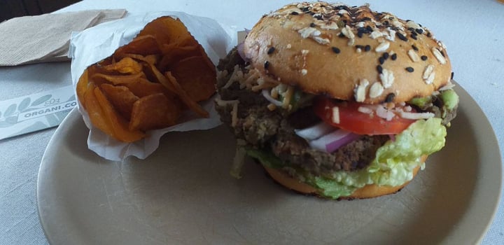 review photo of ORGANI.CO Hamburguesa De Frijol shared by @areliruiz on 29 Mar 2020 - review