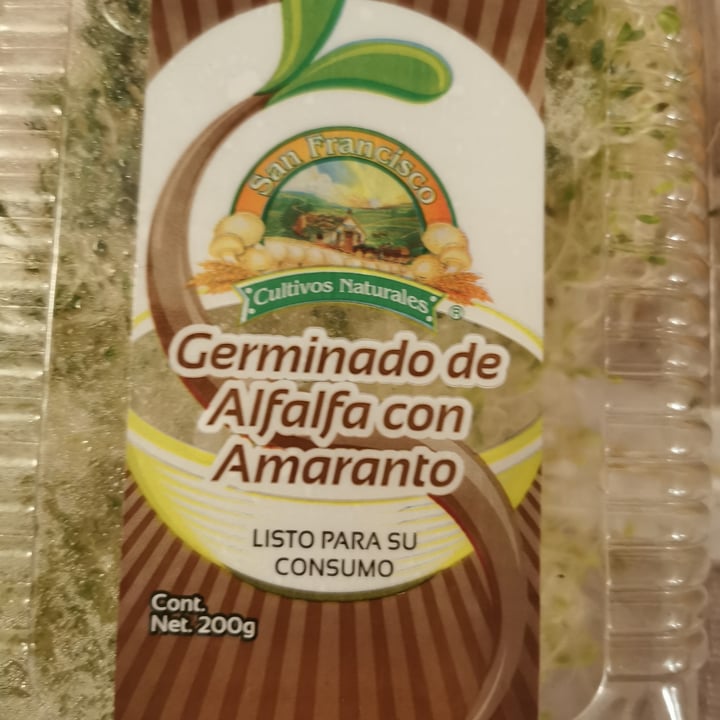 photo of San Francisco Alfalfa Germinado de Alfalfa con Amaranto shared by @untalmateos on  17 Mar 2022 - review