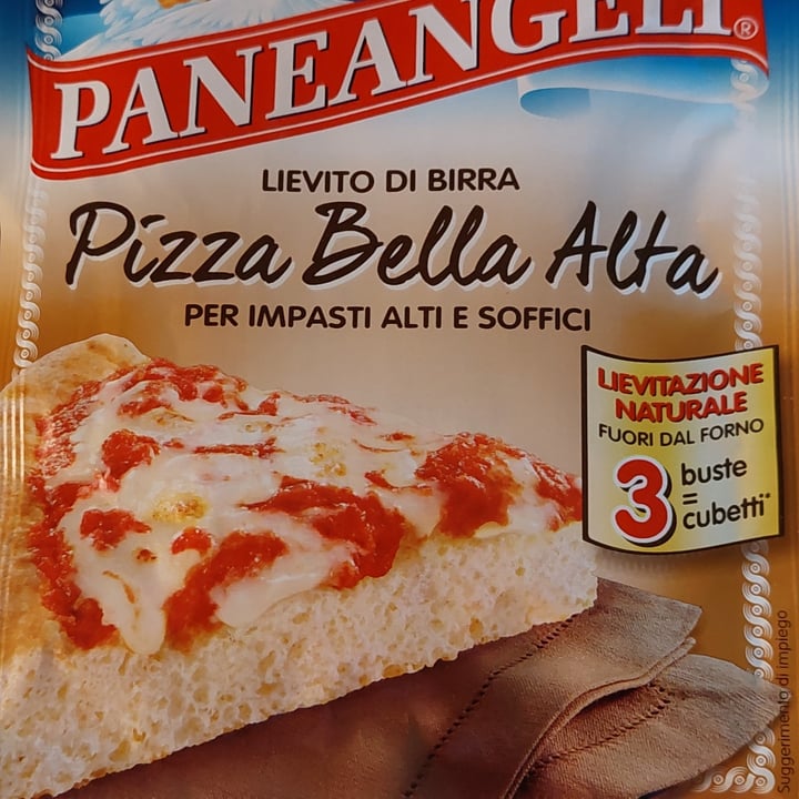 Lievito Pizza Bella Alta