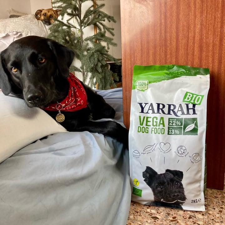 photo of Yarrah Vega Dog Food shared by @asiayportia on  17 Nov 2021 - review