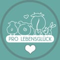 @plgev profile image