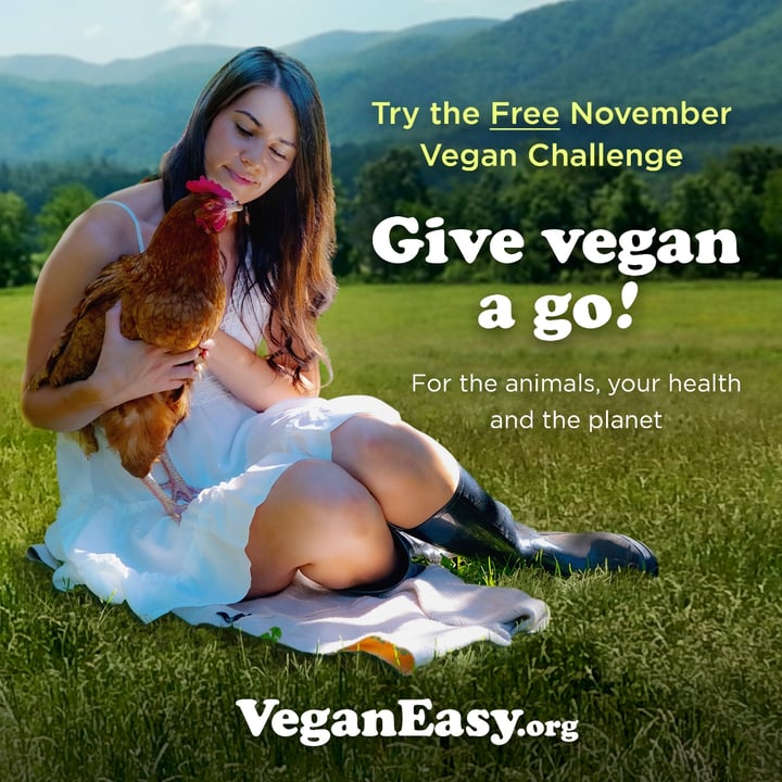 photo shared by @veganeasychallenge on  30 Oct 2022 - post