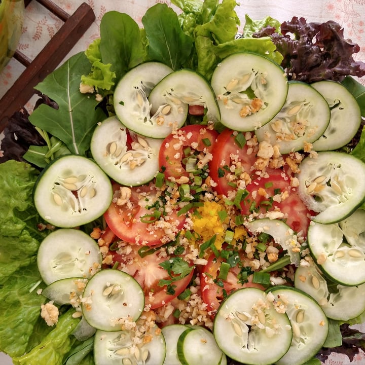 review photo of Salada de verduras e legumes Salada Fria De Verduras E Legumes shared by @mariadocarmovidalbas on 27 Jun 2022 - review