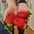 mariadelia @mariadelia profile image